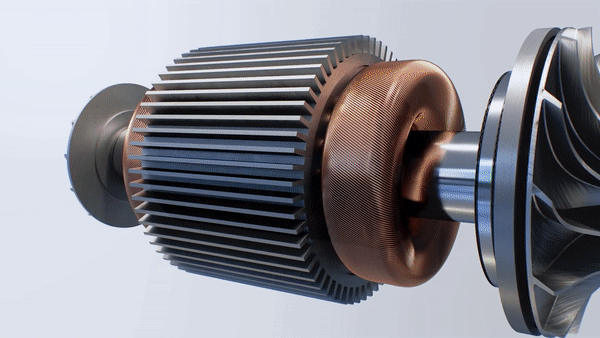 PMSM 極性偵測時的逆向旋轉動畫演示